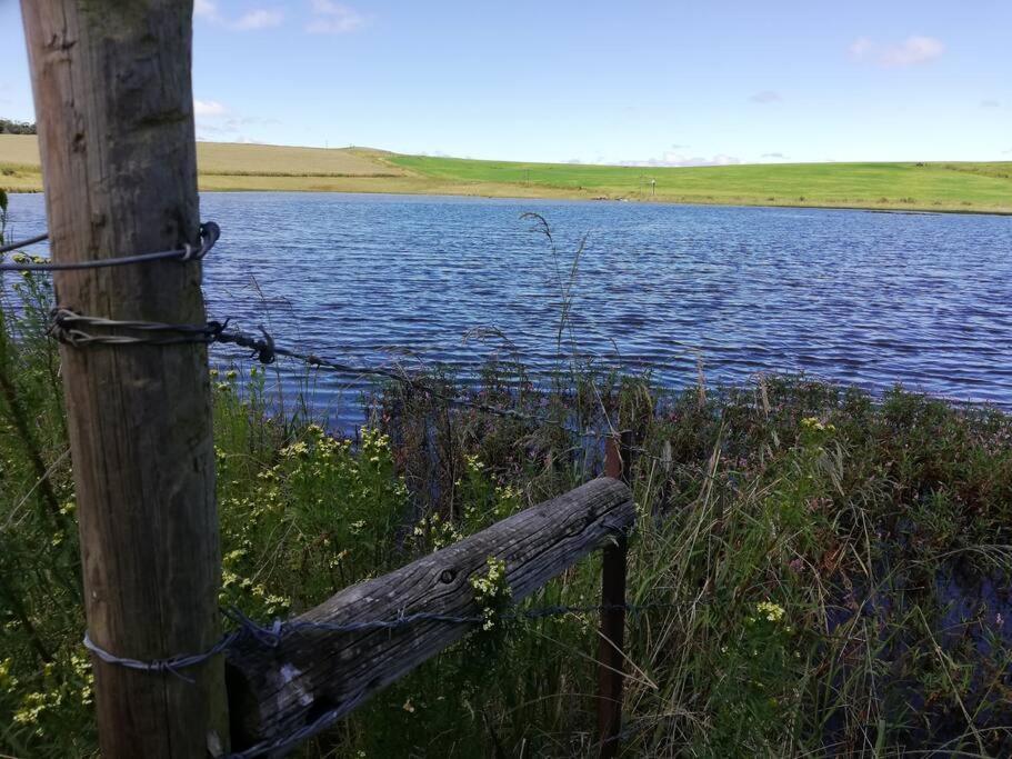 Sheeprun Farmstay Maclear Bagian luar foto