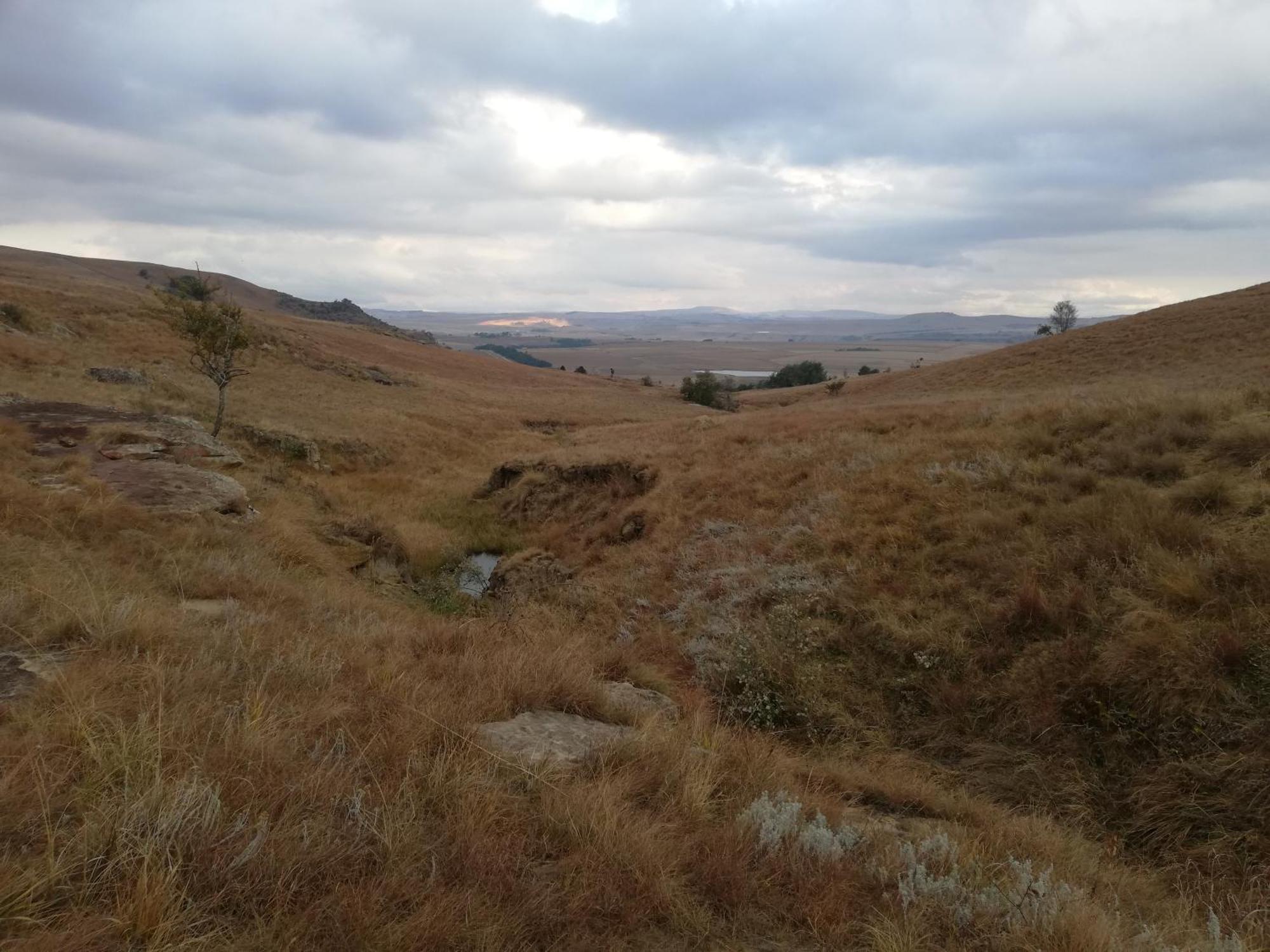 Sheeprun Farmstay Maclear Bagian luar foto